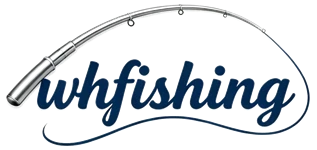 Ningbo WH Visgerei Co., Ltd.